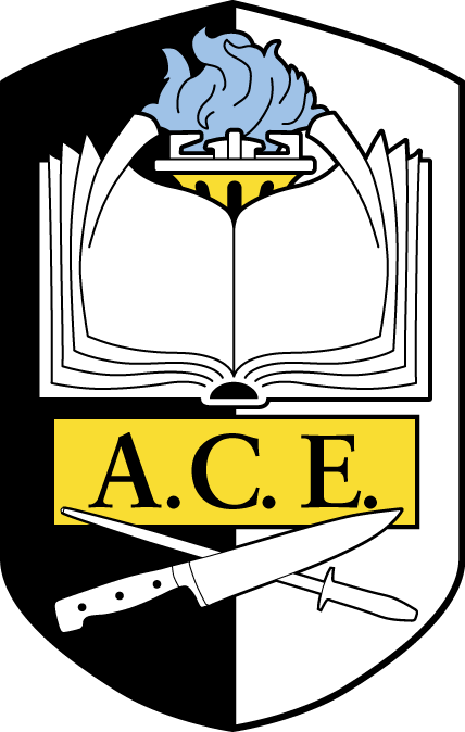 ace logo